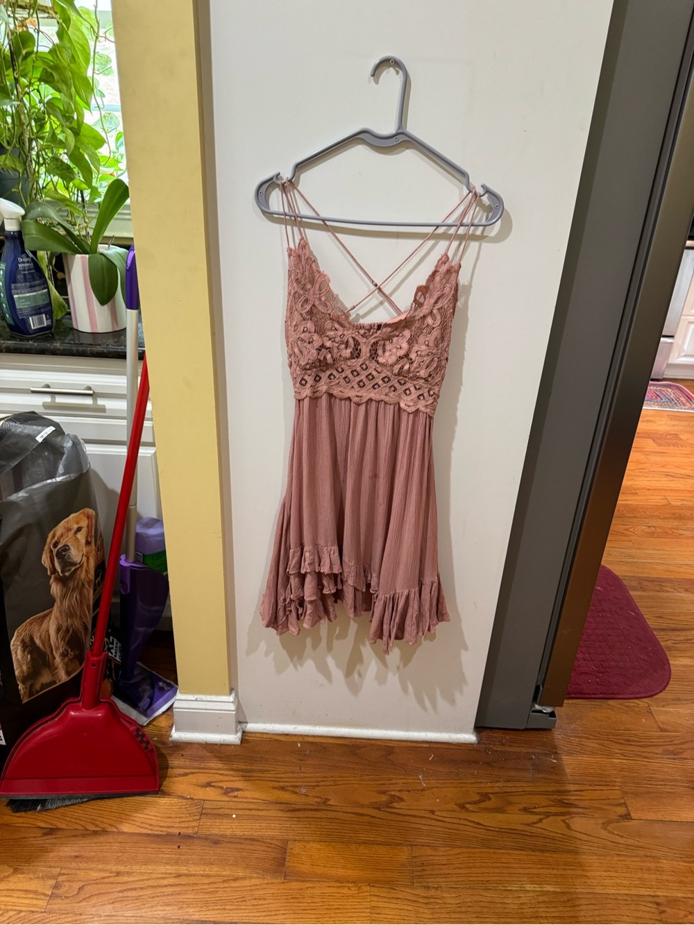 Free People Dusty Rose Crochet Lace Mini Dress